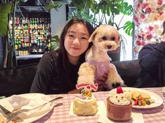 -百好乐宠物友好餐厅(朝外大街店)