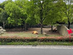 -常州淹城野生动物世界