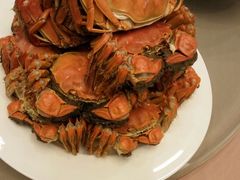 -王宝和酒家(黄浦店)
