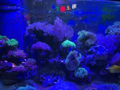 -海合安成都极地海洋公园