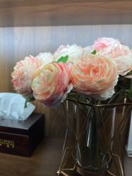 -美健盛世·美容SPA连锁