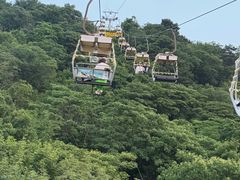 -富斯特索道