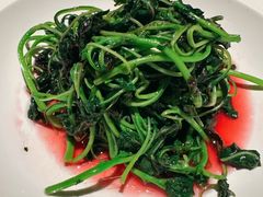 -许家菜(DT51店)