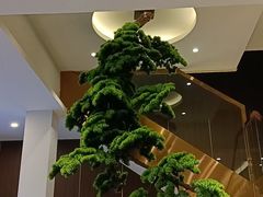 -正清和·推拿养生(二七广场店)