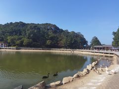 -广州市帽峰山景区