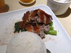 -肥妹烧腊店(翠竹路店)