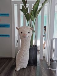-V Beautique妆颜美学体验馆