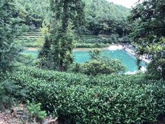 -九龙潭景区