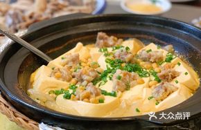 Stewed Tofu in Clay Pot