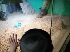 -白鹿仓冰雪海洋世界