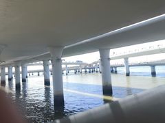 -演武大桥观景平台