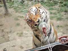 -栾川竹海野生动物园