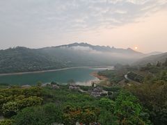 -广州市流溪河国家森林公园