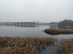 -五里桥文化公园-西侧停车场