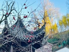 -鹿亭中村