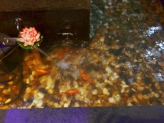-碧露轩·大益茶体验馆(镇江路店)