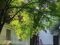 -西园戒幢律寺