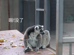 -北京海洋馆