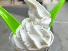 -Salud撒露欧洲冻酸奶(798艺术区店)