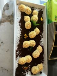 -诗安月子中心(建华南大街店)