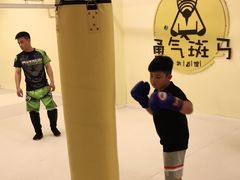 -勇气斑马·巴西柔术&跆拳道(浦东三林店)