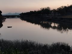 -福田红树林生态公园