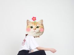 -羽·摄影工作室·外拍·跟拍·活动会议视频