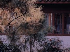 -虎跑公园