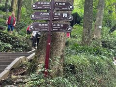 -青城山