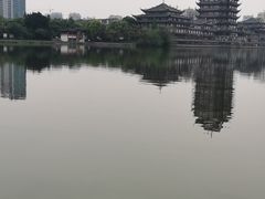 -眉山湿地公园(东坡区)