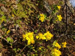 -北京鹫峰国家森林公园