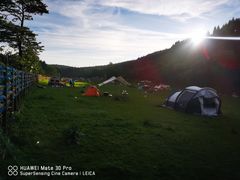 -武陵山森林公园