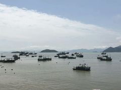 -小皓村
