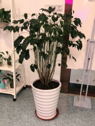 -痘院长·祛痘·皮肤管理