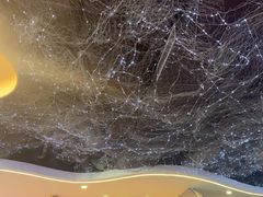 -徐记小怪兽肉蟹煲(中央大街店)