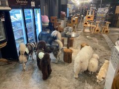 -more than meow吴止猫主题餐厅(承德 中船汇店)