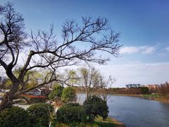 -尚贤河湿地