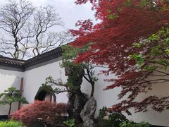 -上海醉白池公园