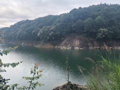 -广州市流溪河国家森林公园