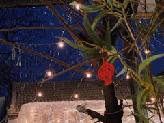 -后海16号·北京私房菜