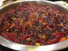 -大龙火锅(老店)