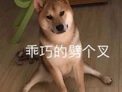 -MINIPOPO鲜奶·甜品(宽厚里店)
