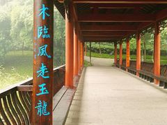 -重庆彩云湖湿地公园