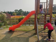 -同里国家湿地公园
