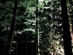 -西湖天地