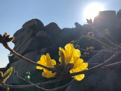-东澳岛