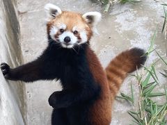 -杭州野生动物世界