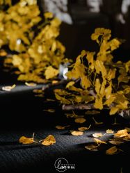 -蘭club婚礼策划