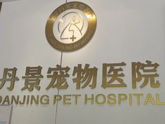 -丹景宠物医院·全科·老年病·牙科(武昌诊疗中心)