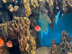 -海合安武汉极地海洋公园